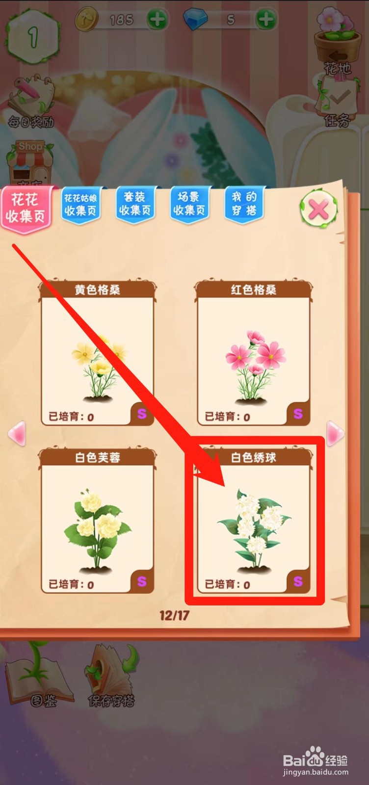 花花姑娘之魔法花园如何查看白色绣球生长速度