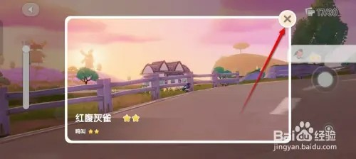 心动小镇红腹灰雀观鸟日志怎样获得