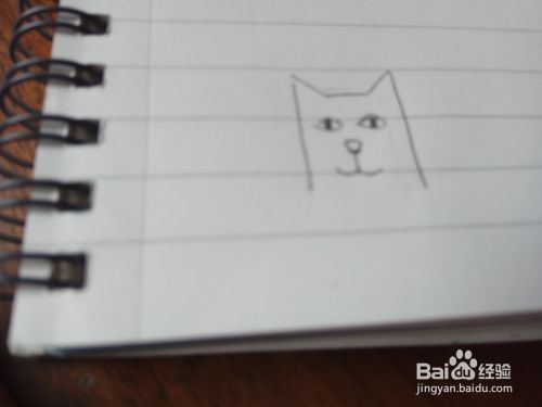如何画猫头像