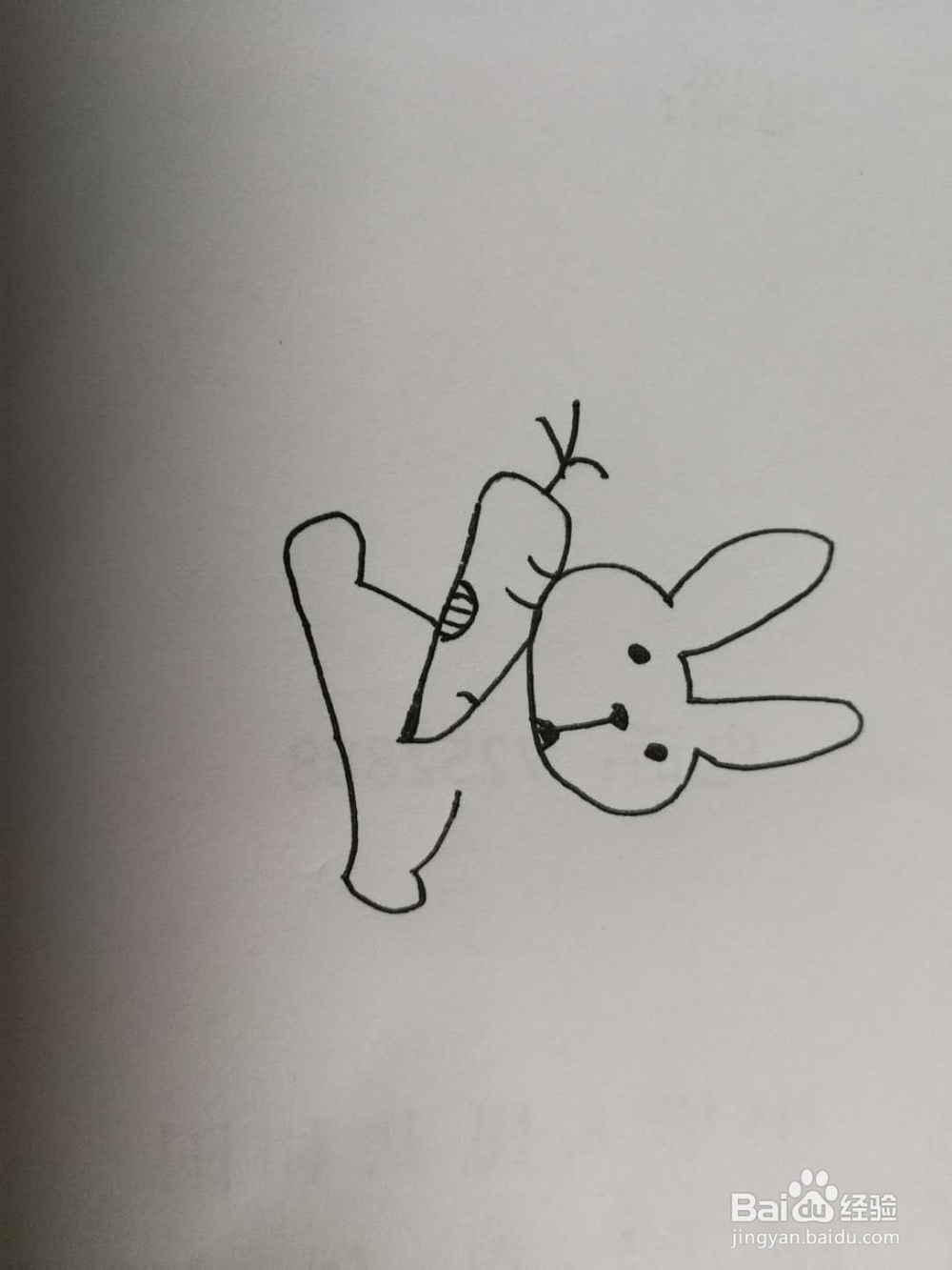 简笔画抱着萝卜的兔子