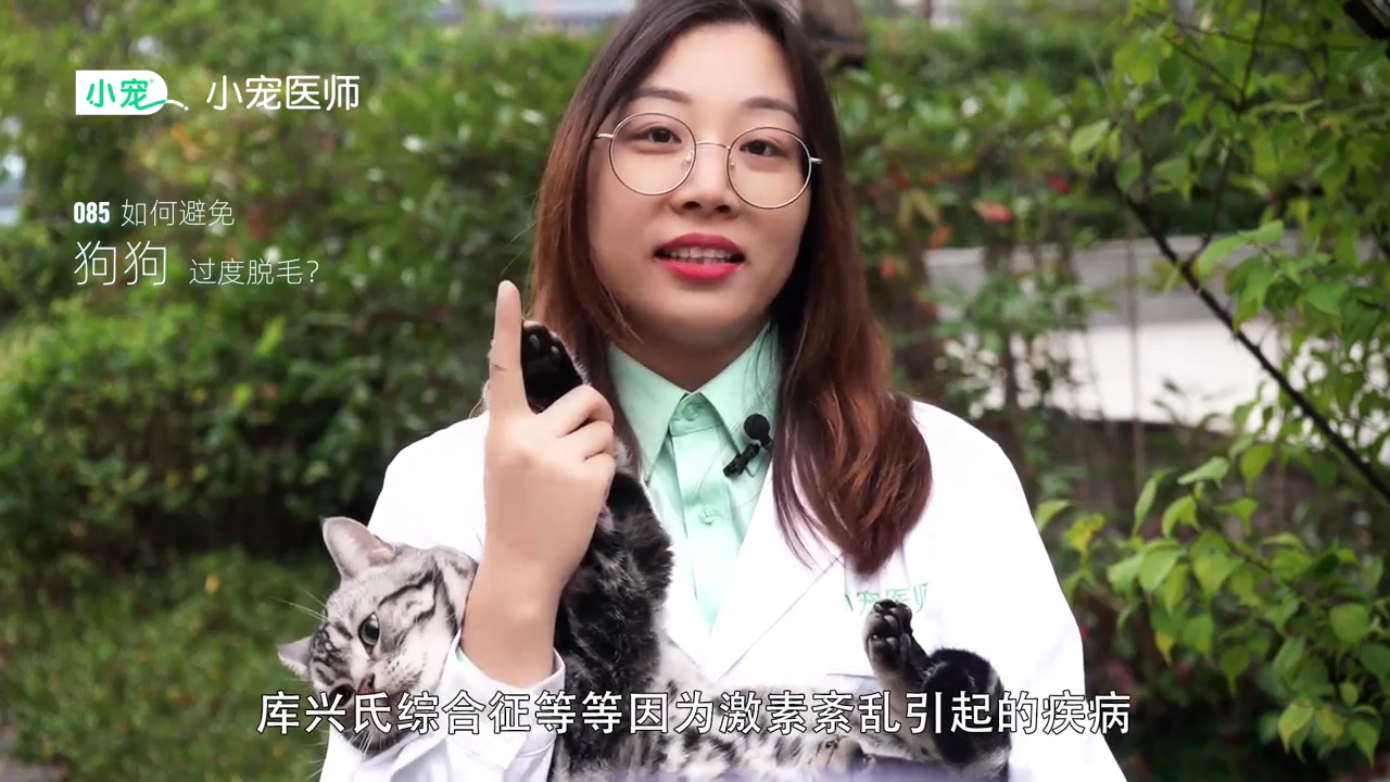 如何避免狗狗过度脱毛