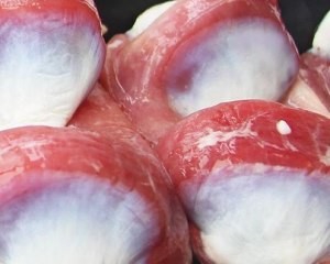 健康养生佳品青椒爆炒鸭胗的做法