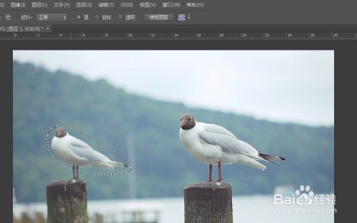 怎样去除照片中多余的景物