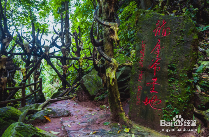 普洱游玩必去的几个地方？