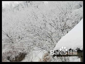 需要注意的三个颈椎病的不良习惯
