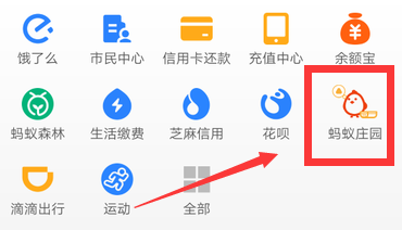 支付宝95公益周活动怎么参与