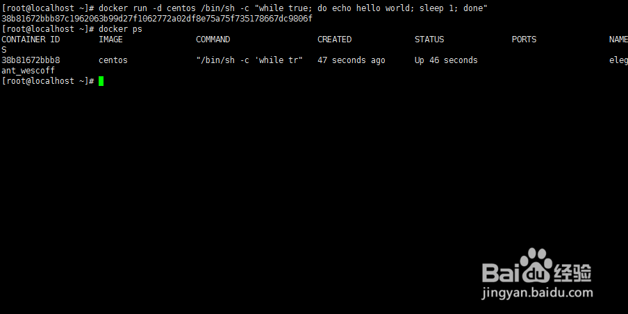 Docker Hello World