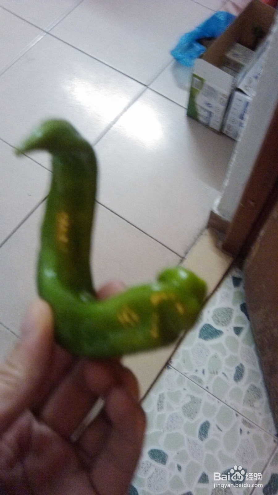 两个人的小日子：[6]晚餐腊肉炒土豆