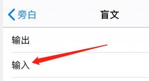 iPhone旁白盲文输入中怎么开启自动翻译？