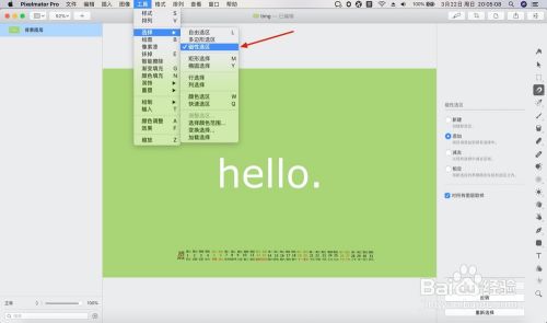 如何使用Pixelmator Pro的磁性选区抠图功能