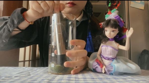 香茅干姜柠檬水