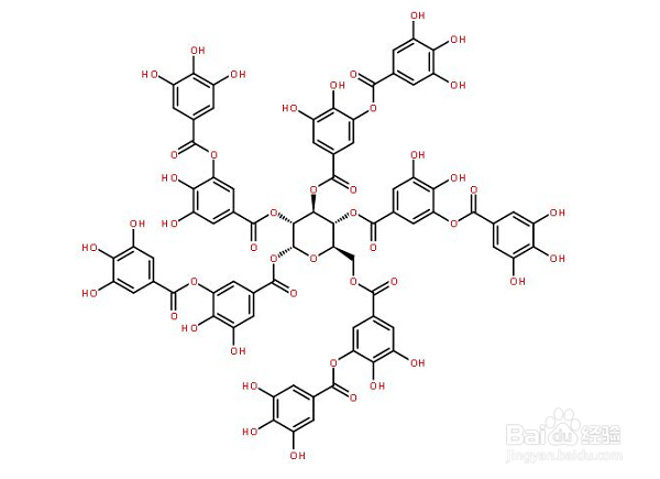 海鲜柿子同时吃会影响身体健康吗？