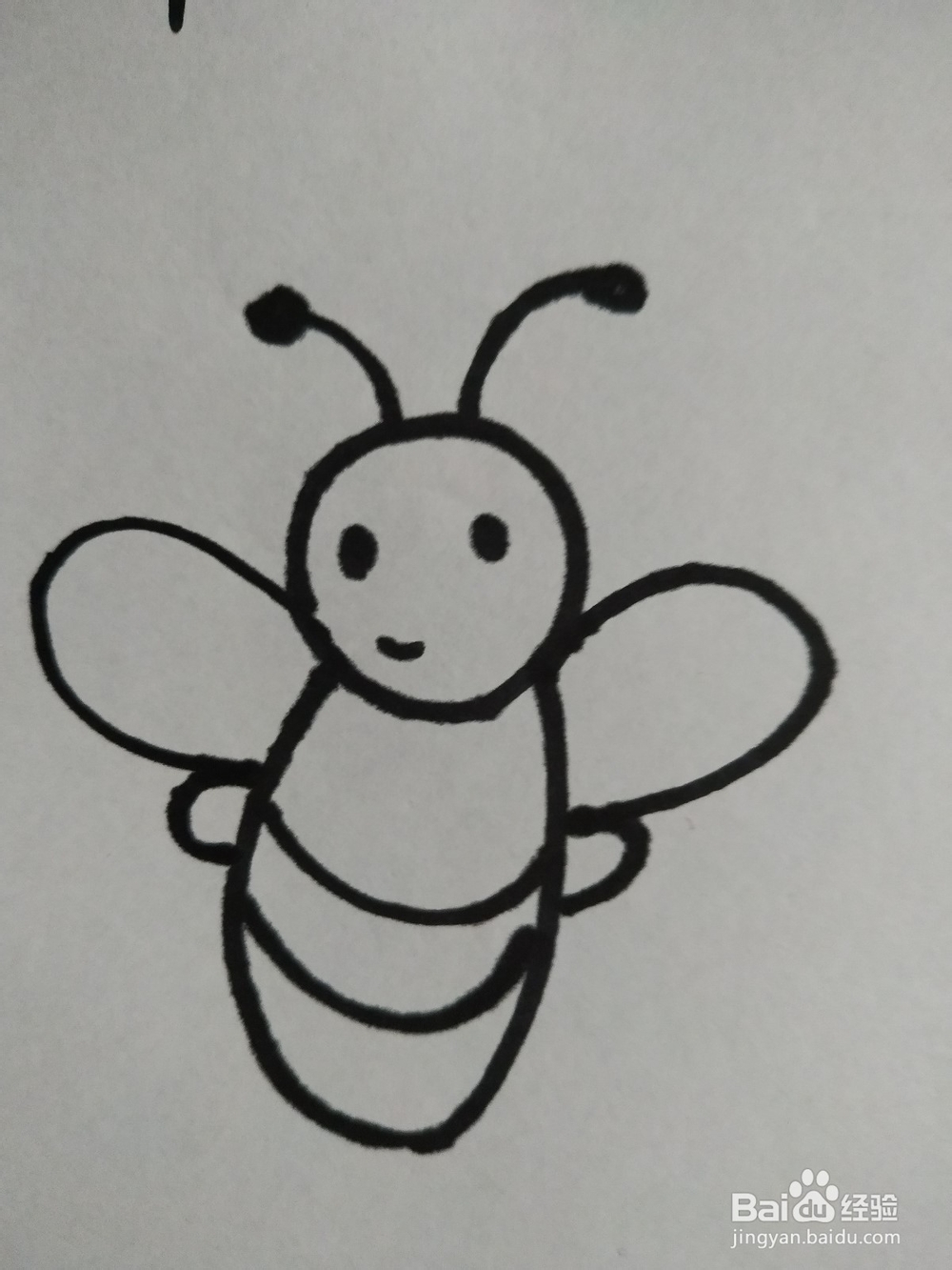 蜜蜂的简笔画技法7