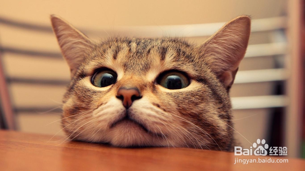 如何玩转天天爱消除