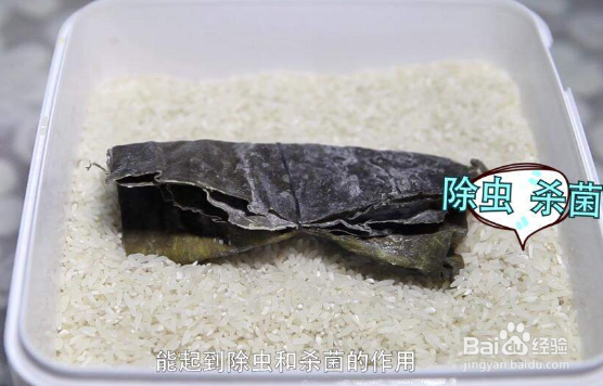 仓库粮食生虫怎样防治最有效