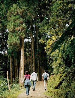 怎样做会对肺癌康复患者有帮助