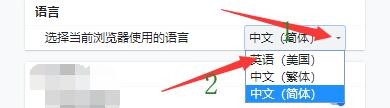 如何设置小白浏览器当前使用英语语言功能