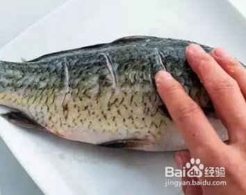 如何做鲫鱼豆腐汤