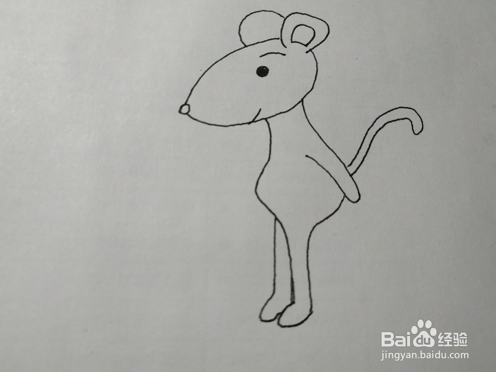 老鼠的简笔画怎么画?