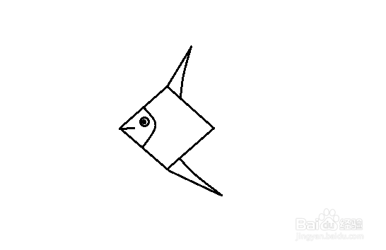 简笔画-热带鱼的简笔画如何画