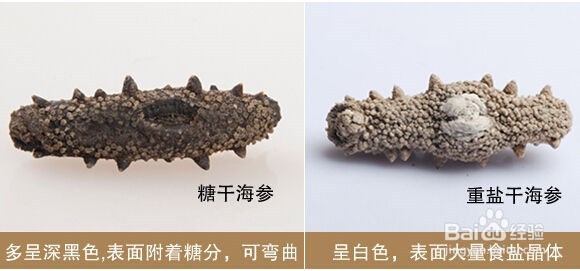 如何区分干海参的好坏