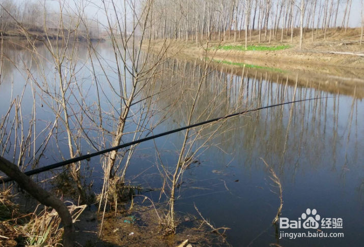 初冬不好钓鱼怎么办？冬天怎样增加鱼获