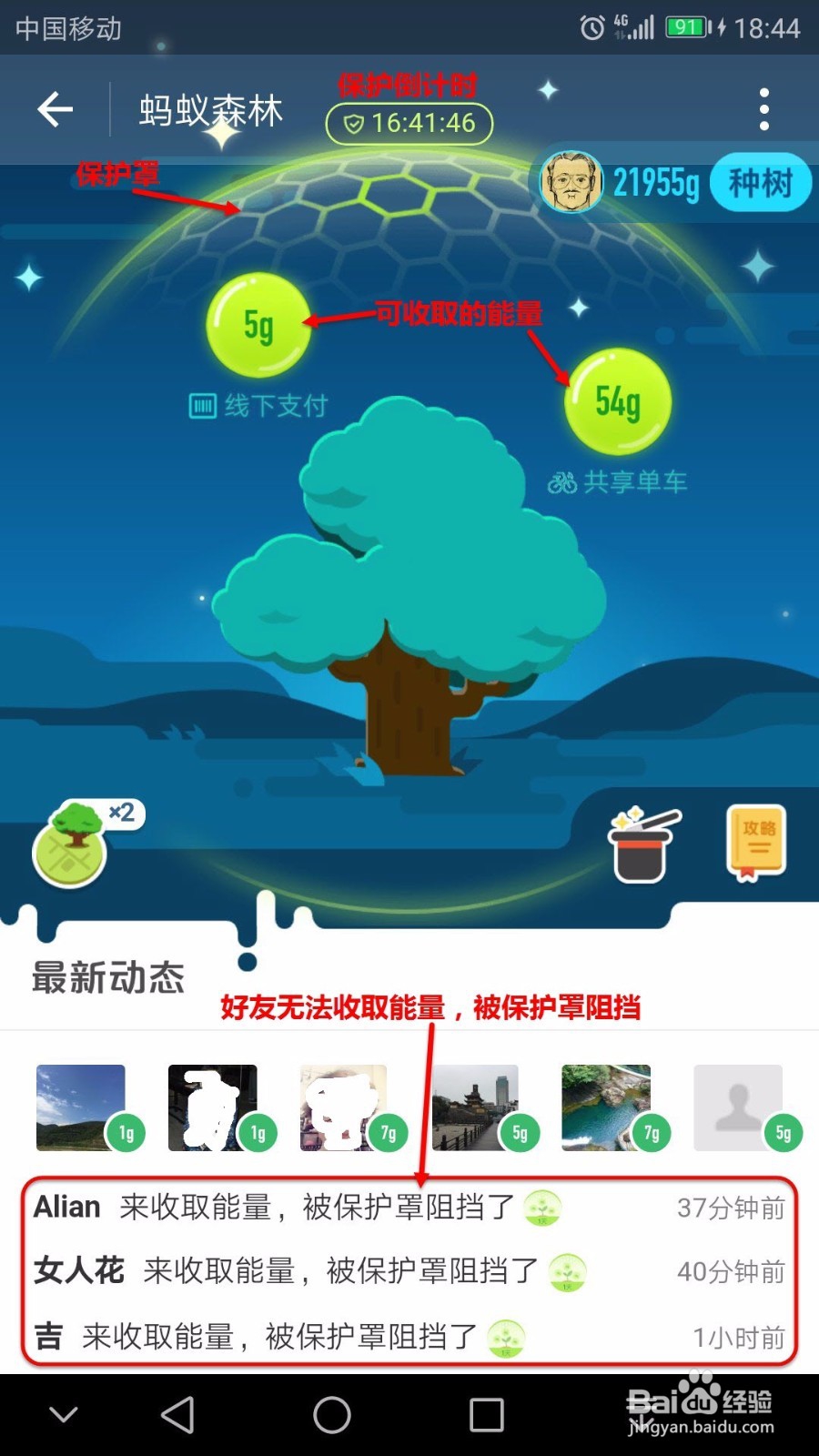 如何用保护罩来保护蚂蚁森林能量