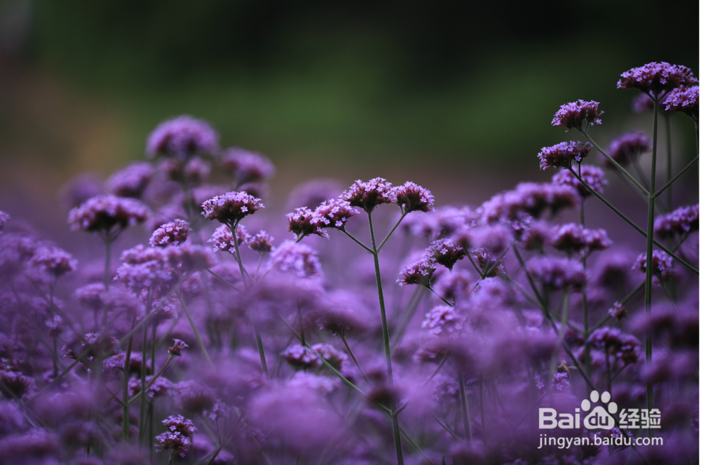 如何去控制情绪