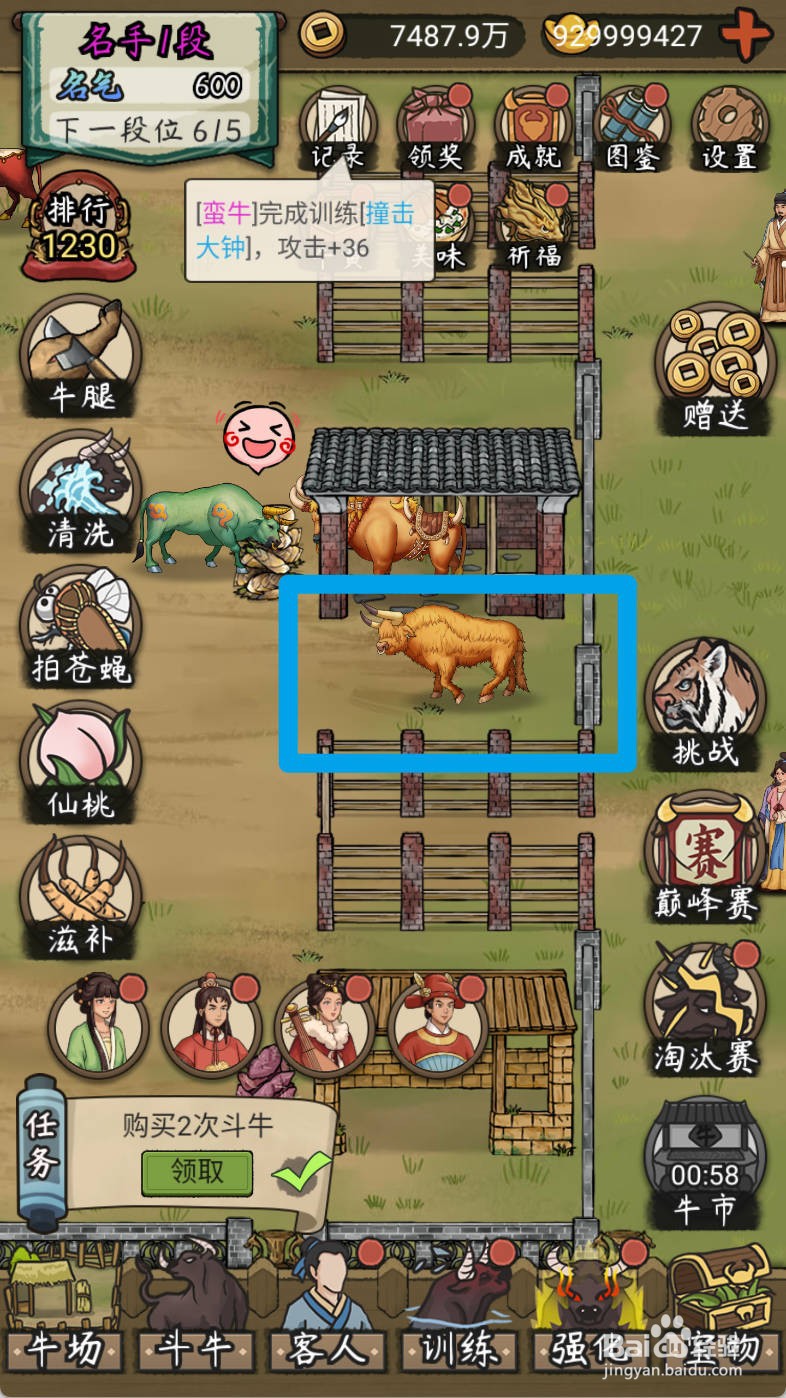 叫我养牛王如何购买上过大树的非主牛