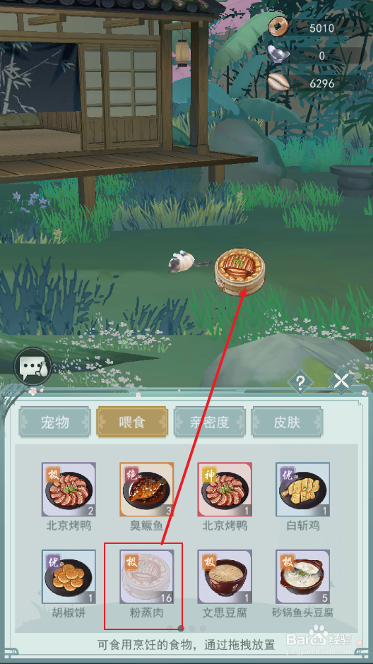 虎斑猫怎么养