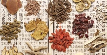 秋季服用中药刺五加 不惧中老年人病