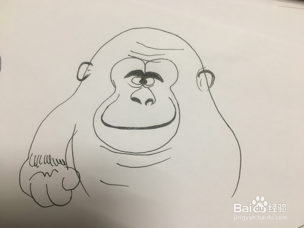 简笔画：手绘一只猩猩 儿童美术 幼儿绘画