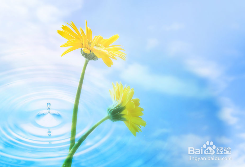 病毒传播途径防