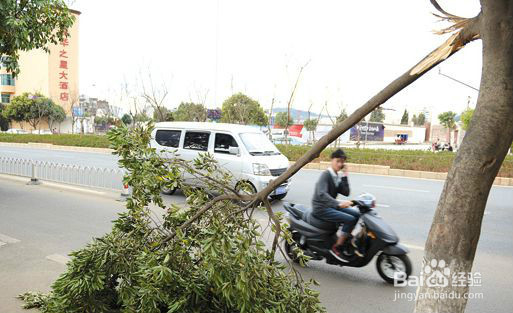 台风来了我们该如何防范