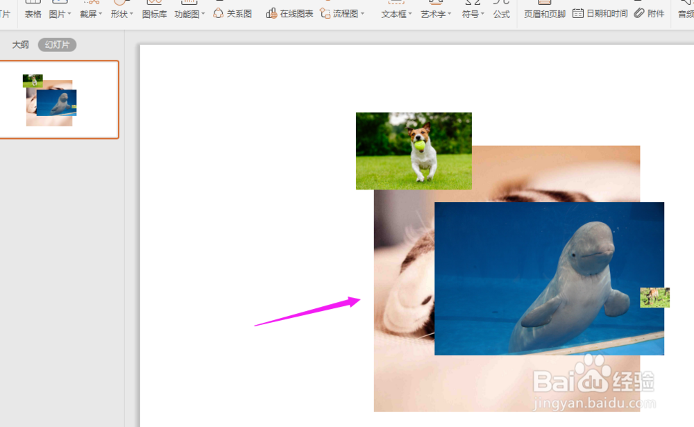 PPT中如何对多张图片一键排版？