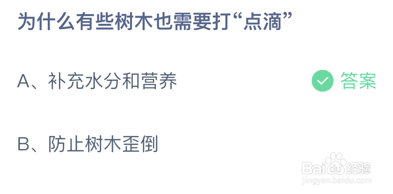 为什么有些树木也需要打点滴