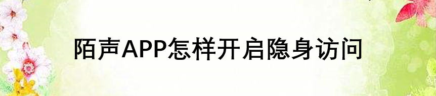 陌声APP怎样开启隐身访问