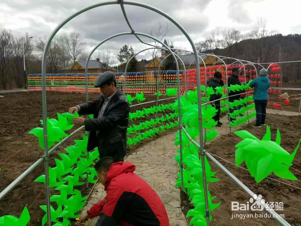 风车节成功举办的经验心得