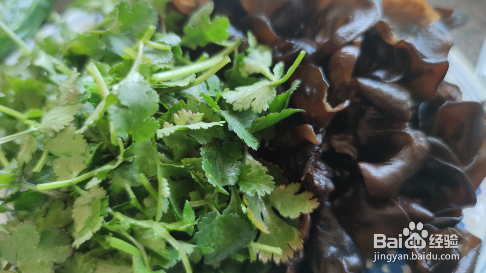 凉拌香菜蒜蓉木耳