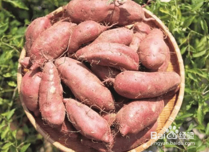 香蕉不能和什么一起吃