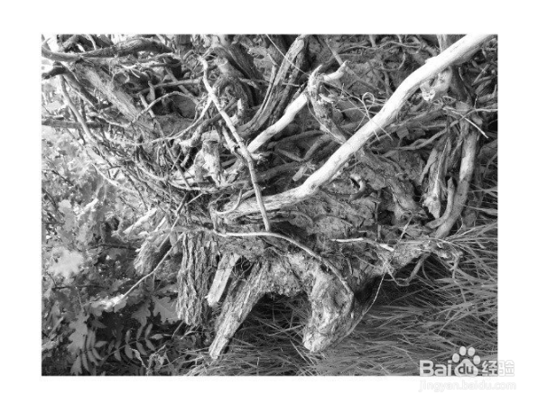 PS建筑插画教程