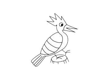 戴胜鸟的简笔画