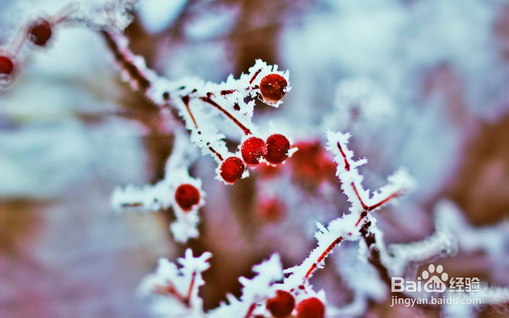 读皮亚杰关于德育培养感悟