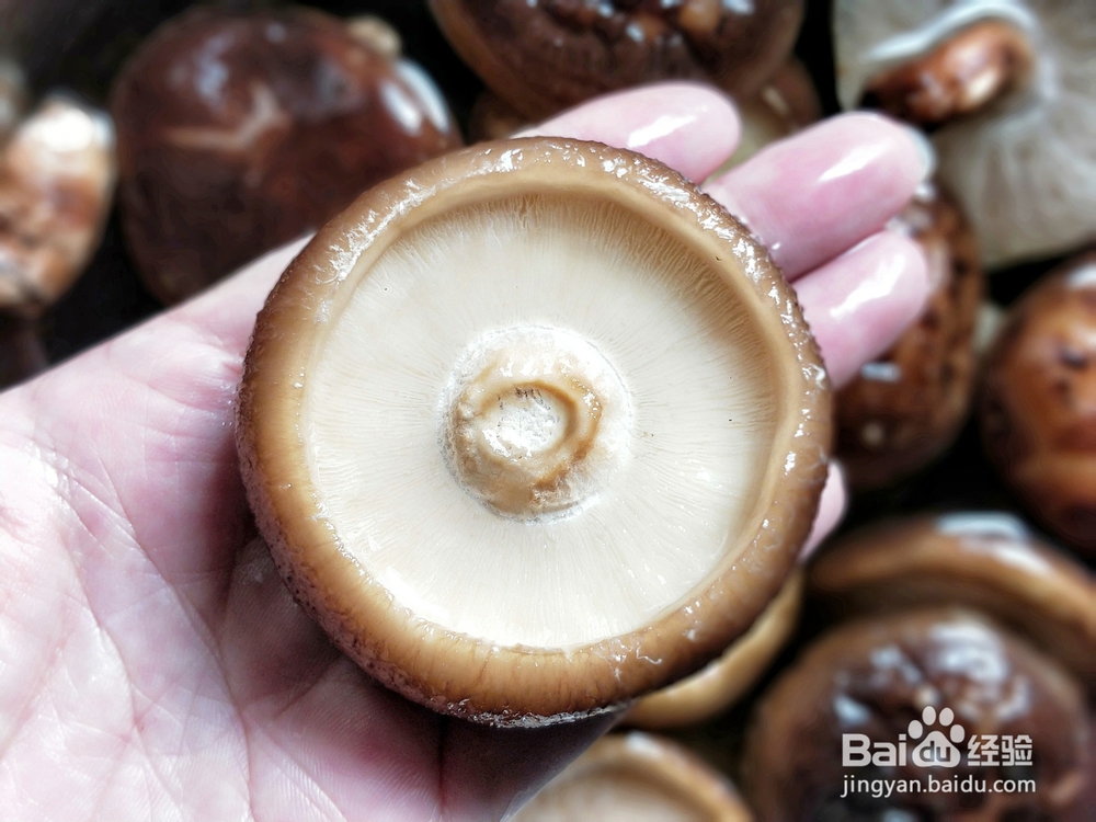 详细教你做鲜香菇酿肉