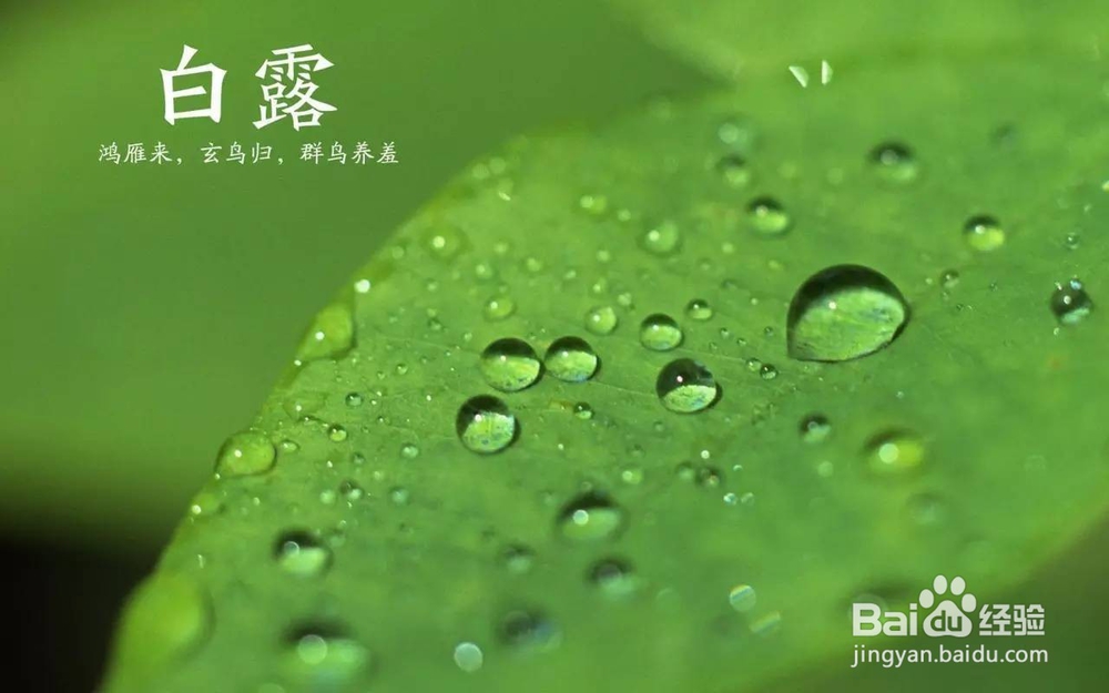 2020年二十四节气时间表(立秋-霜降)