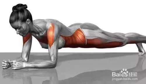 平板支撑省力技巧
