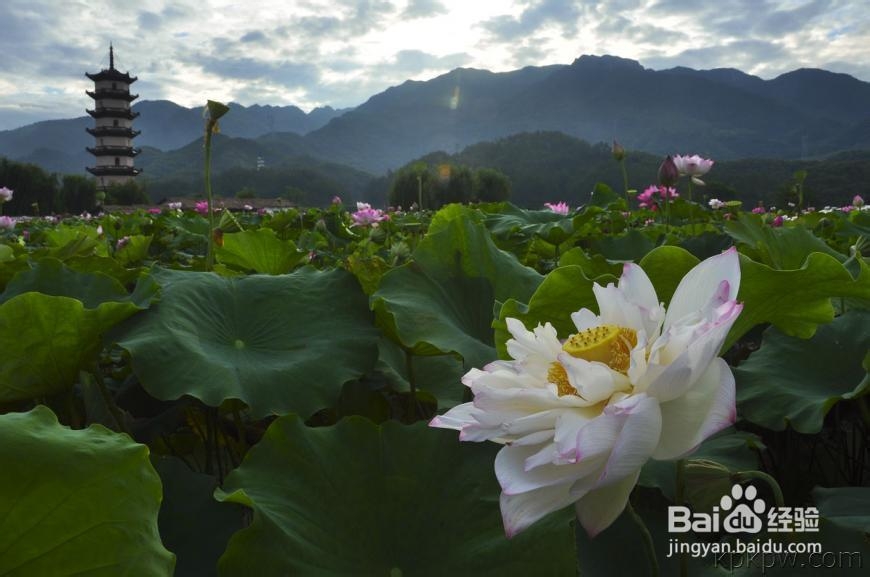 金华最美的连地方二日游