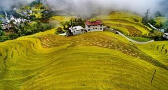 如何在水稻田拍照