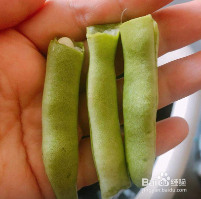 每天不知道吃什么（干煸四季豆）