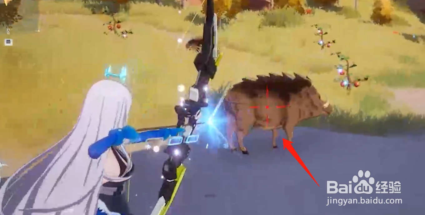 幻塔野猪哪里多